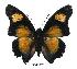  ( - BC-EV0393)  @13 [ ] Unspecified (default): All Rights Reserved  Unspecified Unspecified