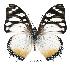  ( - BC-EV0396)  @14 [ ] Unspecified (default): All Rights Reserved  Unspecified Unspecified