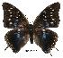  ( - BC-EV0397)  @13 [ ] Unspecified (default): All Rights Reserved  Unspecified Unspecified