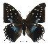  ( - BC-EV0406)  @14 [ ] Unspecified (default): All Rights Reserved  Unspecified Unspecified