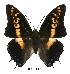 ( - BC-EV0407)  @13 [ ] Unspecified (default): All Rights Reserved  Unspecified Unspecified