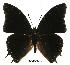  ( - BC-EV0418)  @14 [ ] Unspecified (default): All Rights Reserved  Unspecified Unspecified