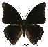  ( - BC-EV0427)  @14 [ ] Unspecified (default): All Rights Reserved  Unspecified Unspecified