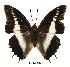  ( - BC-EV0502)  @13 [ ] Unspecified (default): All Rights Reserved  Unspecified Unspecified