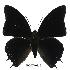  ( - BC-EV0530)  @14 [ ] Unspecified (default): All Rights Reserved  Unspecified Unspecified
