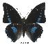  ( - BC-EV0548)  @14 [ ] Unspecified (default): All Rights Reserved  Unspecified Unspecified