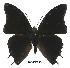  ( - BC-EV0554)  @14 [ ] Unspecified (default): All Rights Reserved  Unspecified Unspecified