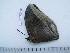  ( - BC-Turl-0241)  @12 [ ] Unspecified (default): All Rights Reserved  Unspecified Unspecified