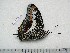  ( - BC-Turl-0304)  @12 [ ] Unspecified (default): All Rights Reserved  Unspecified Unspecified