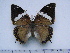  ( - BC-Turl-0411)  @13 [ ] Unspecified (default): All Rights Reserved  Unspecified Unspecified