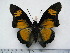  ( - BC-Turl-0454)  @12 [ ] Unspecified (default): All Rights Reserved  Unspecified Unspecified