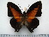  ( - BC-Turl-0467)  @14 [ ] Unspecified (default): All Rights Reserved  Unspecified Unspecified