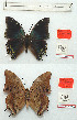  ( - BC-EV1129)  @11 [ ] Unspecified (default): All Rights Reserved  Unspecified Unspecified