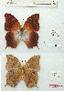  ( - BC-EV1211)  @11 [ ] Unspecified (default): All Rights Reserved  Unspecified Unspecified