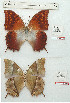  ( - BC-EV1213)  @11 [ ] Unspecified (default): All Rights Reserved  Unspecified Unspecified