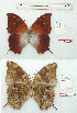  ( - BC-EV1214)  @11 [ ] Unspecified (default): All Rights Reserved  Unspecified Unspecified