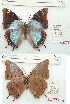  ( - BC-EV1257)  @11 [ ] Unspecified (default): All Rights Reserved  Unspecified Unspecified