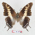  ( - BC-EV1286)  @11 [ ] Unspecified (default): All Rights Reserved  Unspecified Unspecified