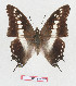  ( - BC-EV1287)  @11 [ ] Unspecified (default): All Rights Reserved  Unspecified Unspecified