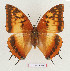  ( - BC-EV1327)  @14 [ ] Unspecified (default): All Rights Reserved  Unspecified Unspecified