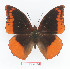  ( - BC-EV1351)  @14 [ ] Unspecified (default): All Rights Reserved  Unspecified Unspecified