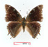  ( - BC-EV1392)  @11 [ ] Unspecified (default): All Rights Reserved  Unspecified Unspecified