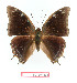  ( - BC-EV1393)  @13 [ ] Unspecified (default): All Rights Reserved  Unspecified Unspecified