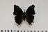  ( - BC-Turl -0052)  @13 [ ] Unspecified (default): All Rights Reserved  Unspecified Unspecified