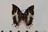  ( - BC-Turl -0122)  @14 [ ] Unspecified (default): All Rights Reserved  Unspecified Unspecified