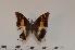  ( - BC-Turl -0160)  @14 [ ] Unspecified (default): All Rights Reserved  Unspecified Unspecified