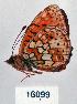  ( - CSG16099)  @12 [ ] Unspecified (default): All Rights Reserved  Unspecified Unspecified