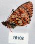  ( - CSG16102)  @12 [ ] Unspecified (default): All Rights Reserved  Unspecified Unspecified