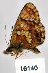  ( - CSG16140)  @13 [ ] Unspecified (default): All Rights Reserved  Unspecified Unspecified