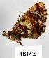  ( - CSG16142)  @13 [ ] Unspecified (default): All Rights Reserved  Unspecified Unspecified