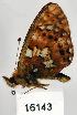  ( - CSG16143)  @12 [ ] Unspecified (default): All Rights Reserved  Unspecified Unspecified