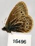  ( - CSG16496)  @12 [ ] Unspecified (default): All Rights Reserved  Unspecified Unspecified