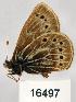  ( - CSG16497)  @12 [ ] Unspecified (default): All Rights Reserved  Unspecified Unspecified