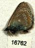  ( - CSG16762)  @13 [ ] Unspecified (default): All Rights Reserved  Unspecified Unspecified