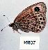  ( - CSG16837)  @13 [ ] Unspecified (default): All Rights Reserved  Unspecified Unspecified