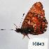  ( - CSG16843)  @13 [ ] Unspecified (default): All Rights Reserved  Unspecified Unspecified