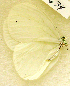 ( - GVW-09-14634)  @13 [ ] Unspecified (default): All Rights Reserved  Unspecified Unspecified
