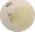  ( - GVW-09-6671)  @11 [ ] Unspecified (default): All Rights Reserved  Unspecified Unspecified