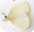  ( - GVW-09-12558)  @13 [ ] Unspecified (default): All Rights Reserved  Unspecified Unspecified