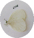  ( - GVW-09-6888)  @13 [ ] Unspecified (default): All Rights Reserved  Unspecified Unspecified