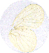  ( - DK-04-5001)  @12 [ ] Unspecified (default): All Rights Reserved  Unspecified Unspecified