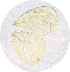  ( - DK-04-5002)  @12 [ ] Unspecified (default): All Rights Reserved  Unspecified Unspecified