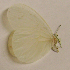  ( - DK-04-5002)  @12 [ ] Unspecified (default): All Rights Reserved  Unspecified Unspecified