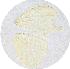  ( - SC-01-T384)  @12 [ ] Unspecified (default): All Rights Reserved  Unspecified Unspecified