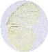  ( - SC-01-T387)  @12 [ ] Unspecified (default): All Rights Reserved  Unspecified Unspecified