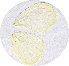  ( - SC-01-T388)  @12 [ ] Unspecified (default): All Rights Reserved  Unspecified Unspecified